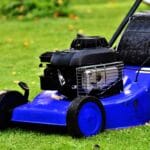 Que faire de l'herbe tondue ?